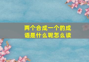 两个合成一个的成语是什么呢怎么读