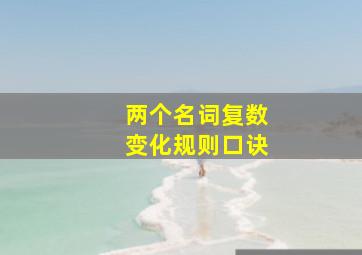 两个名词复数变化规则口诀