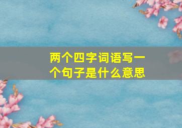 两个四字词语写一个句子是什么意思