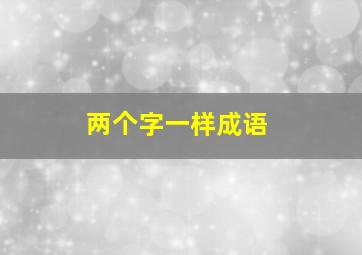 两个字一样成语