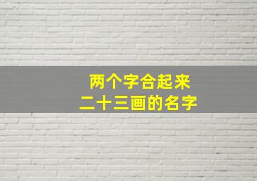 两个字合起来二十三画的名字