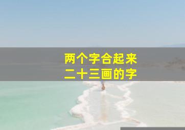 两个字合起来二十三画的字