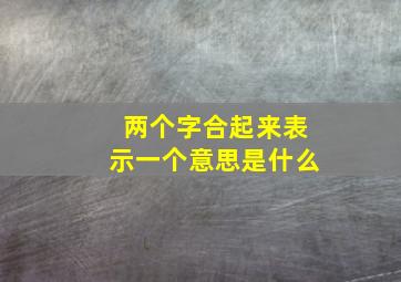 两个字合起来表示一个意思是什么