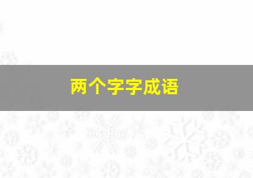 两个字字成语