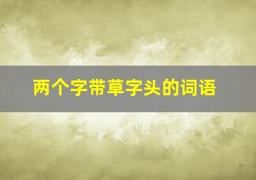 两个字带草字头的词语