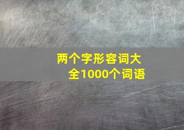 两个字形容词大全1000个词语