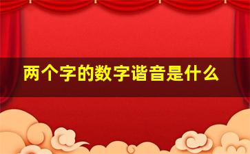 两个字的数字谐音是什么