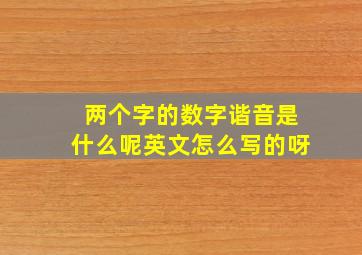 两个字的数字谐音是什么呢英文怎么写的呀