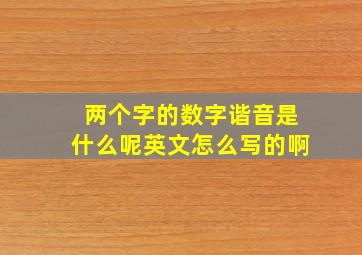 两个字的数字谐音是什么呢英文怎么写的啊