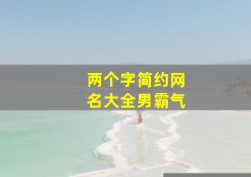 两个字简约网名大全男霸气