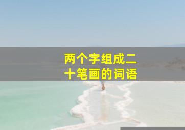 两个字组成二十笔画的词语