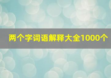 两个字词语解释大全1000个