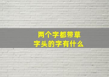 两个字都带草字头的字有什么