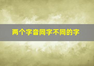 两个字音同字不同的字