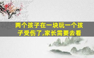 两个孩子在一块玩一个孩子受伤了,家长需要去看