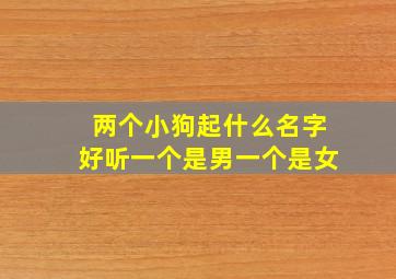 两个小狗起什么名字好听一个是男一个是女