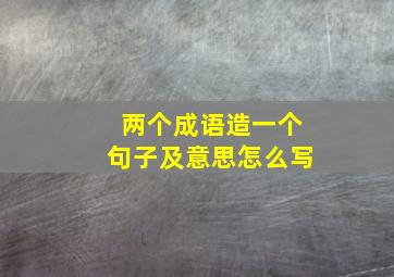 两个成语造一个句子及意思怎么写