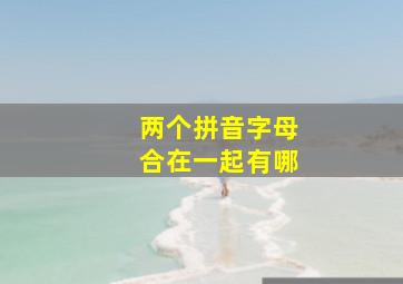 两个拼音字母合在一起有哪