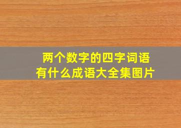 两个数字的四字词语有什么成语大全集图片