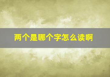 两个是哪个字怎么读啊