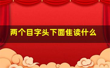 两个目字头下面隹读什么