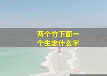 两个竹下面一个生念什么字