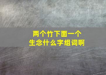 两个竹下面一个生念什么字组词啊