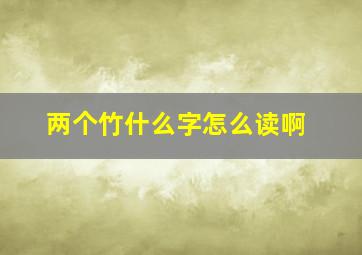 两个竹什么字怎么读啊