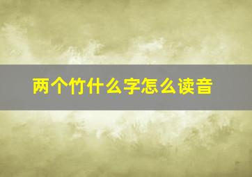 两个竹什么字怎么读音