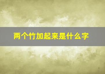 两个竹加起来是什么字