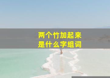 两个竹加起来是什么字组词