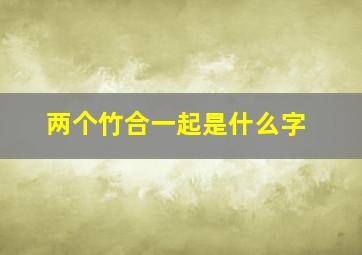 两个竹合一起是什么字