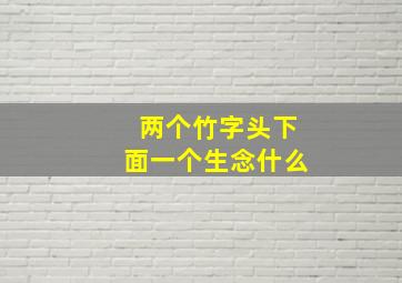 两个竹字头下面一个生念什么