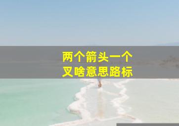 两个箭头一个叉啥意思路标