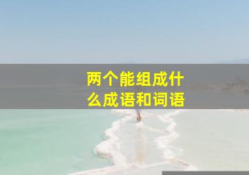 两个能组成什么成语和词语