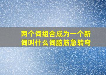 两个词组合成为一个新词叫什么词脑筋急转弯