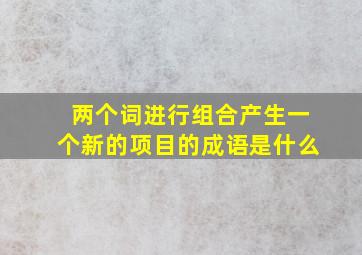 两个词进行组合产生一个新的项目的成语是什么