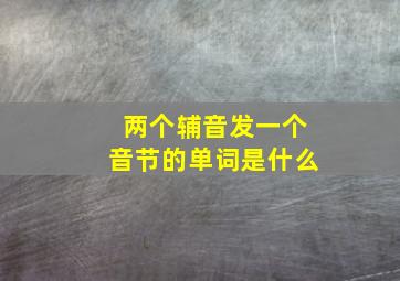 两个辅音发一个音节的单词是什么