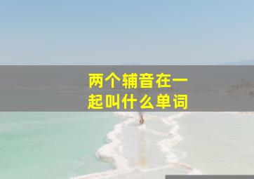 两个辅音在一起叫什么单词