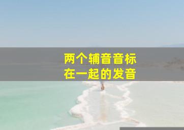 两个辅音音标在一起的发音