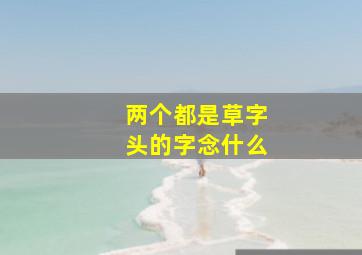 两个都是草字头的字念什么