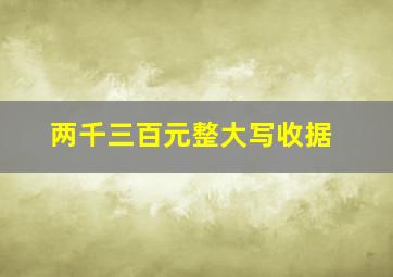 两千三百元整大写收据