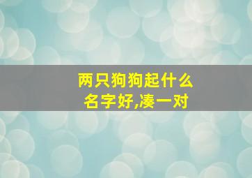 两只狗狗起什么名字好,凑一对