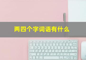 两四个字词语有什么