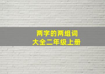 两字的两组词大全二年级上册