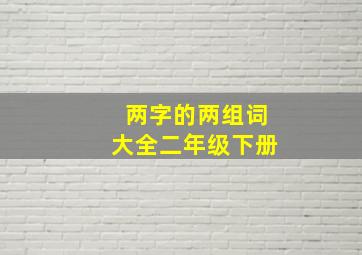 两字的两组词大全二年级下册