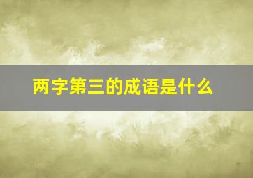 两字第三的成语是什么