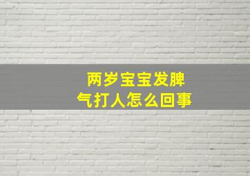 两岁宝宝发脾气打人怎么回事