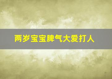 两岁宝宝脾气大爱打人