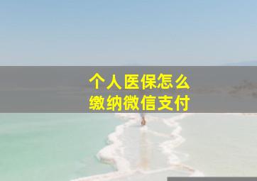 个人医保怎么缴纳微信支付